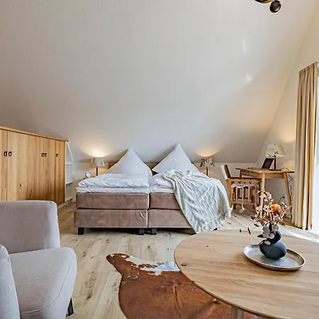 Deluxe Studio-apartment 