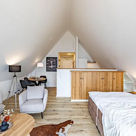 Deluxe Studio-apartment 